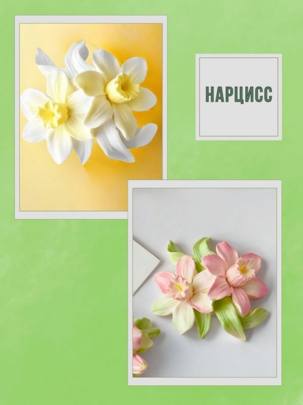 Молд, силиконовая форма "Нарцисс".