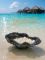 Ароматическая свеча "Velora Maldives". Настроение моря, которое всегда рядом.